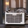 Follow These Steps To Clean Window Air Conditioning Units