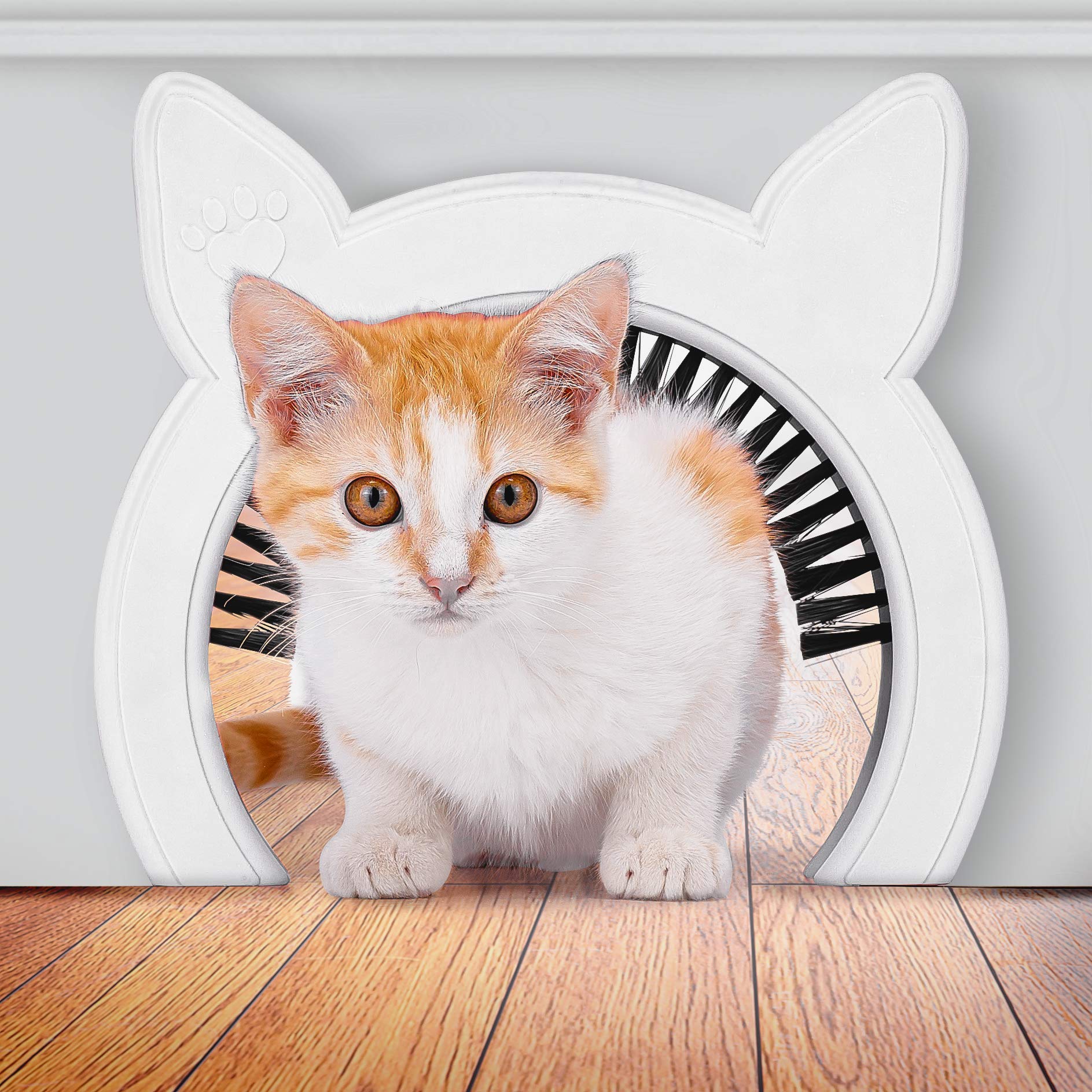 what-to-look-for-in-an-affordable-cat-flap-installation-business-post44